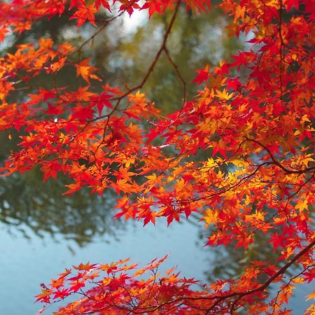 Stay Sakura Kyoto Nijo Castle West I Exterior photo