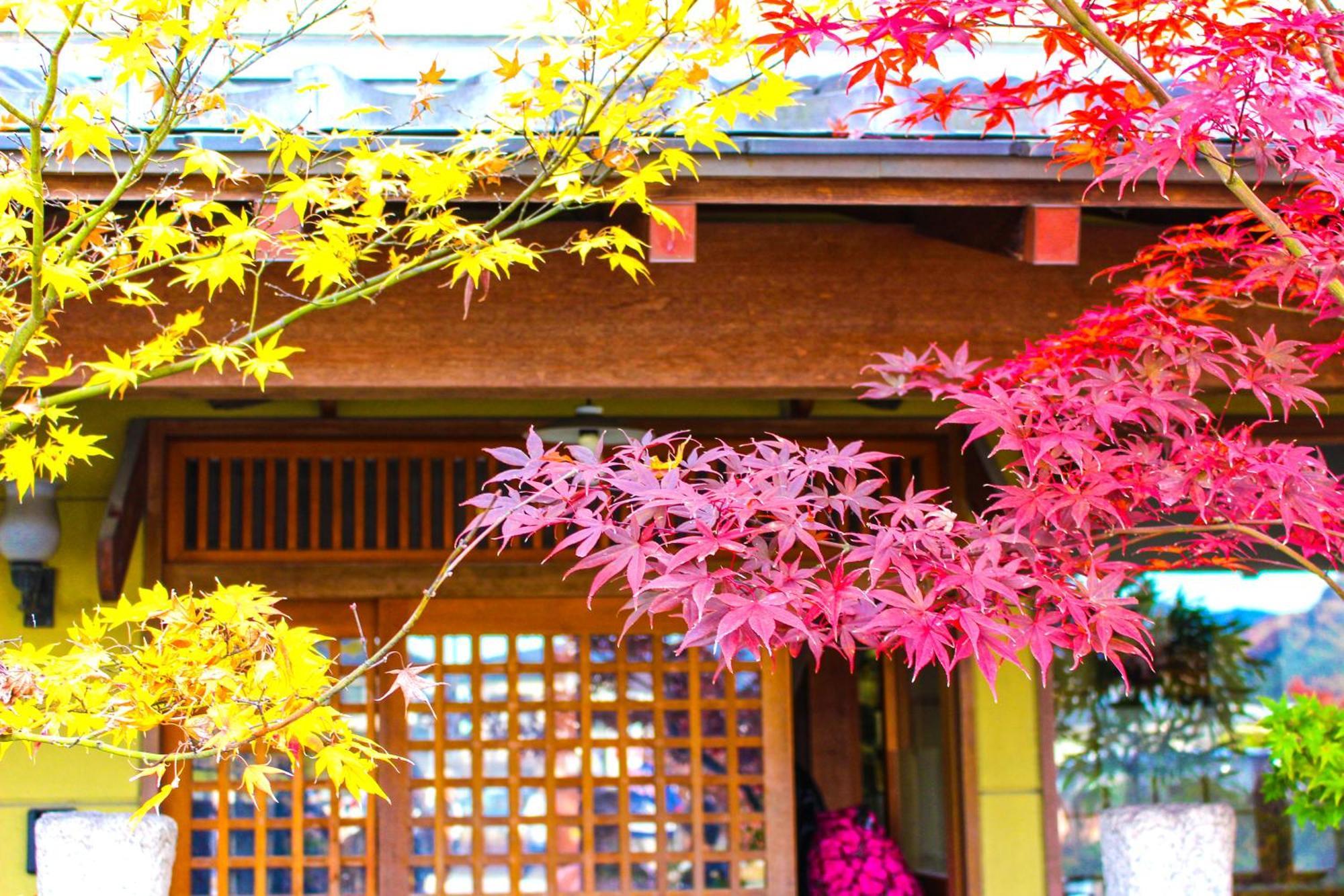 Stay Sakura Kyoto Nijo Castle West I Exterior photo